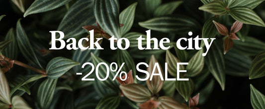 BACK TO THE CITY - 20% SALE