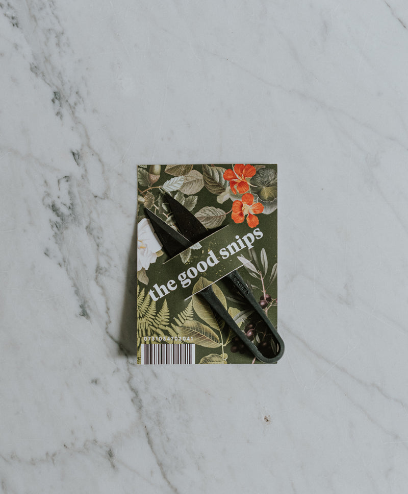 Bonsai pruning shears