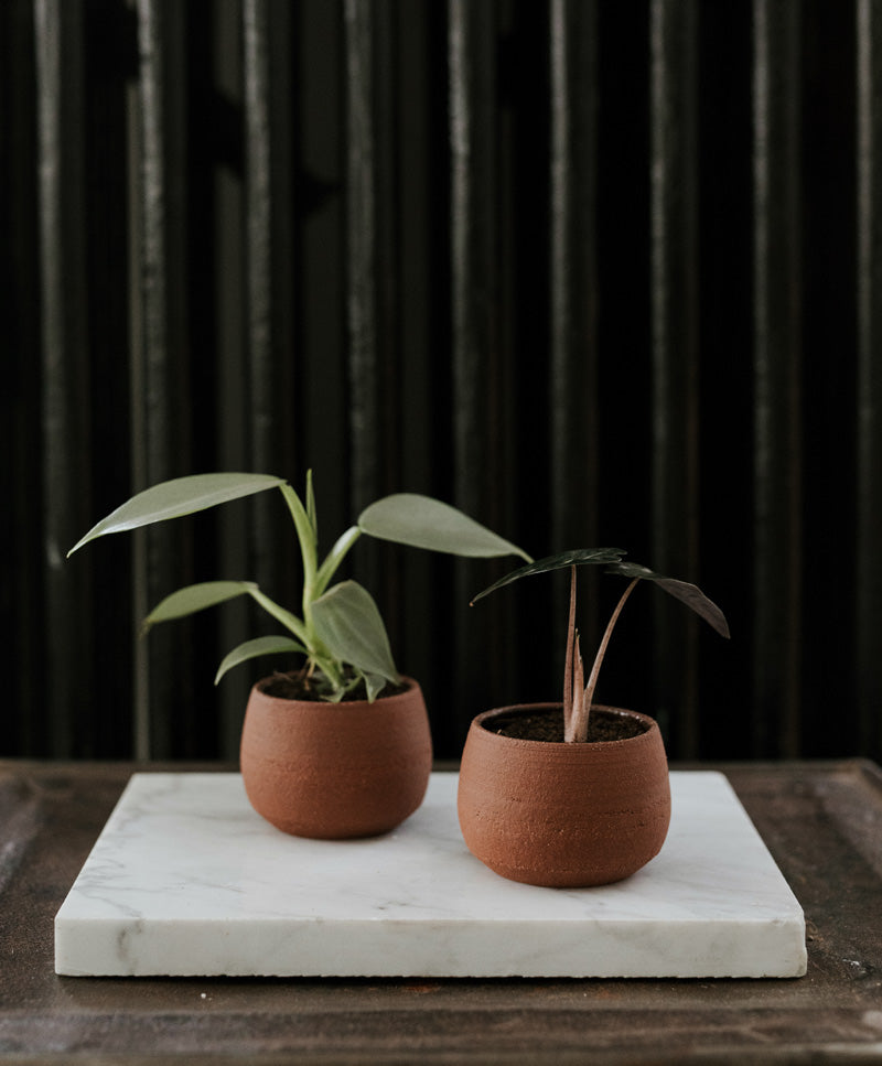'Donna' ceramic, round pot