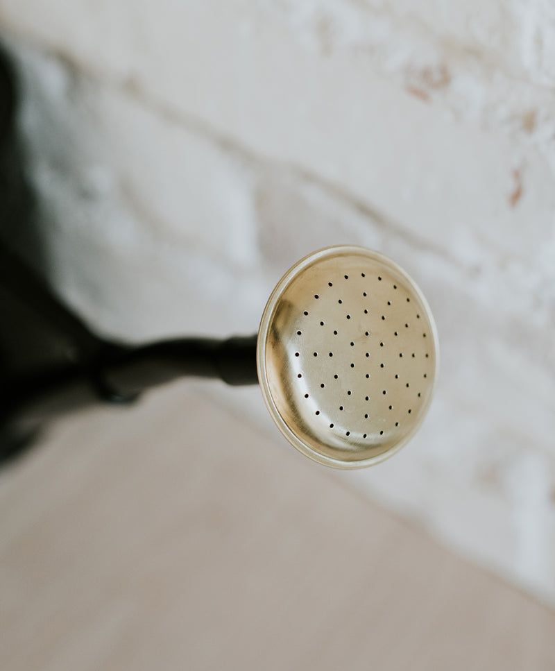 Black watering can