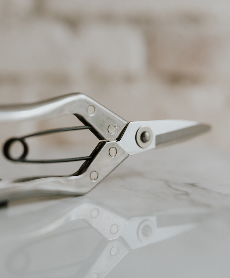 Stainless steel pruning scissor