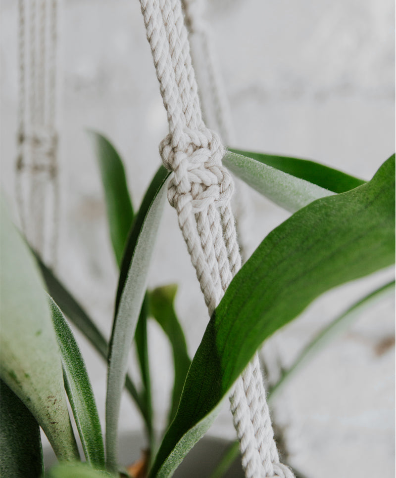 Macramé Plant Hanger, size M