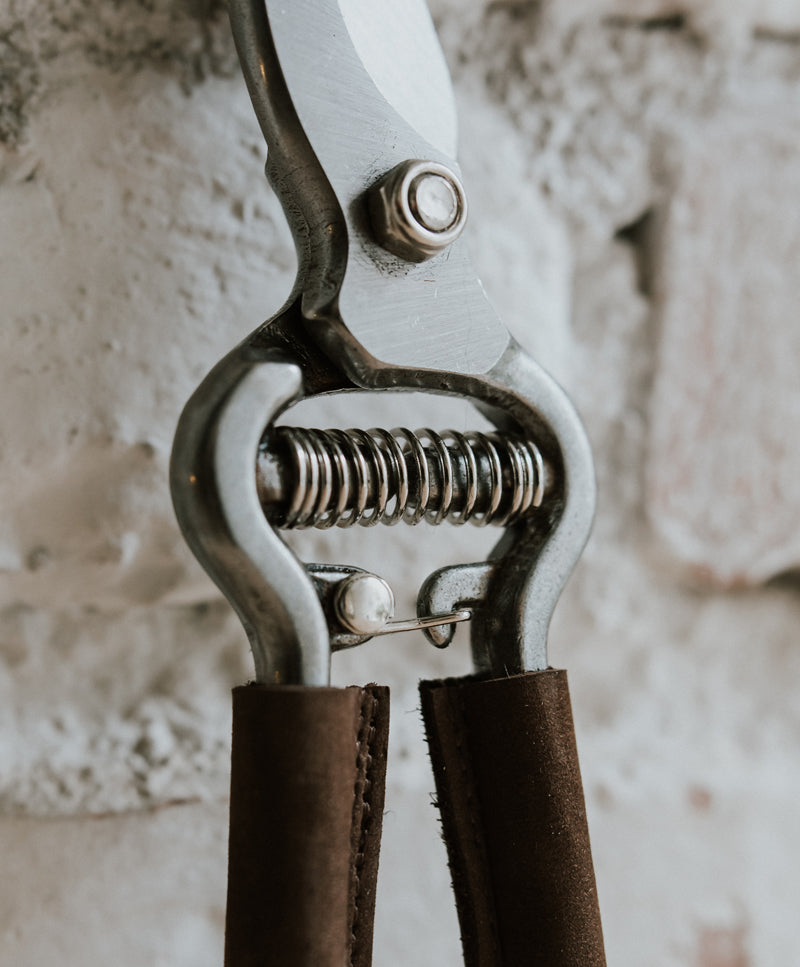 Pruning scissor with leather coated handle
