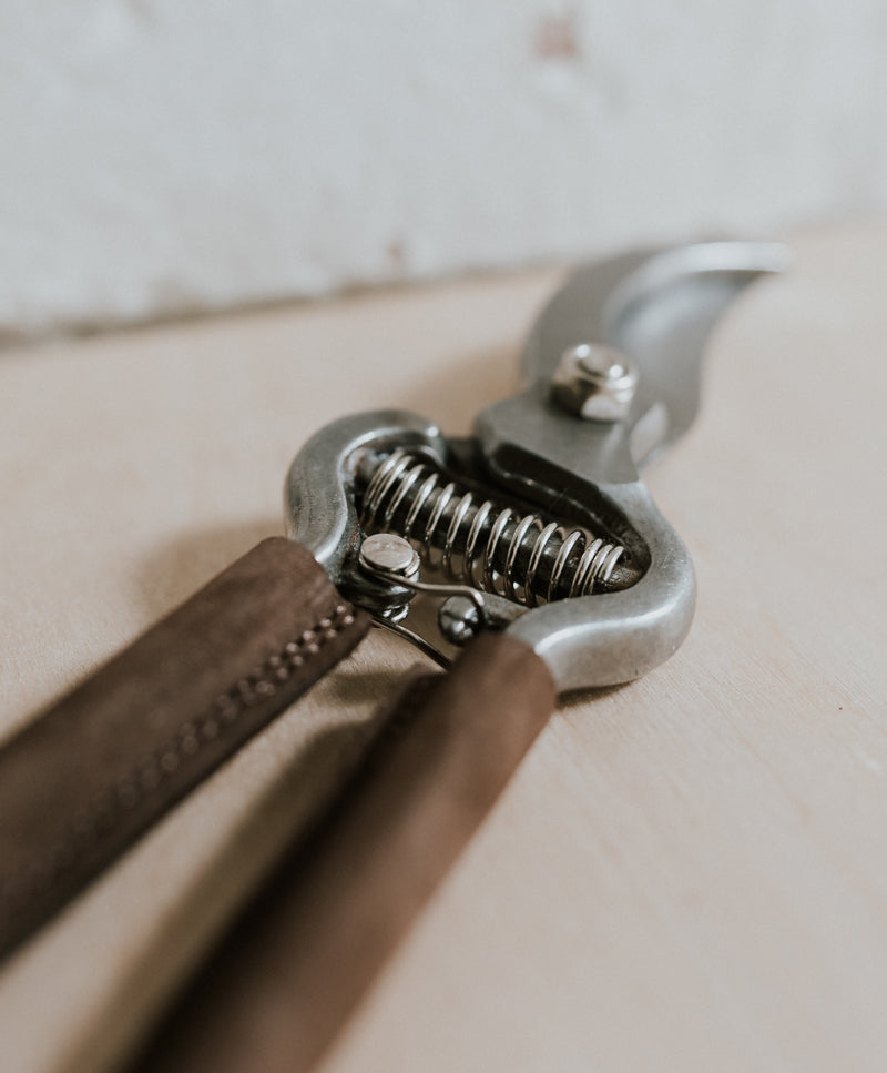 Pruning scissor with leather coated handle