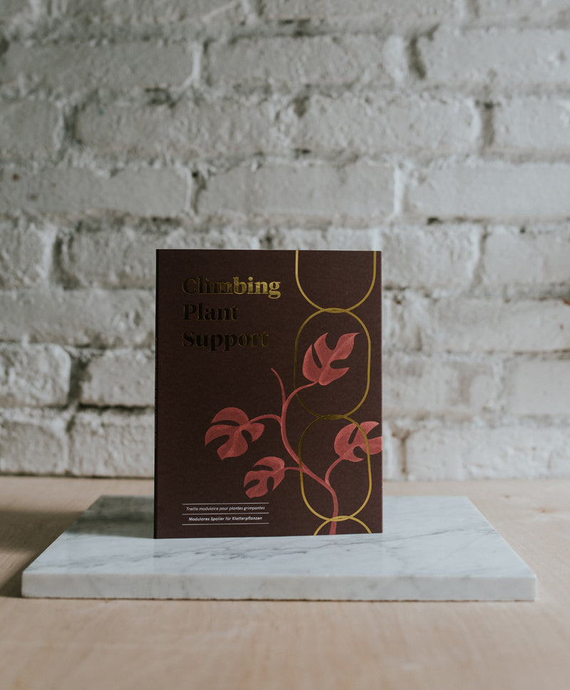 Chain Support for climbing plants