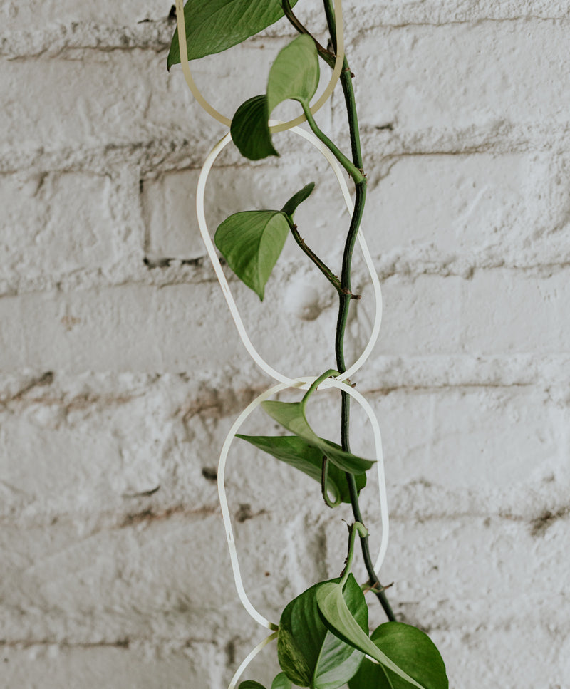 Chain Support for climbing plants