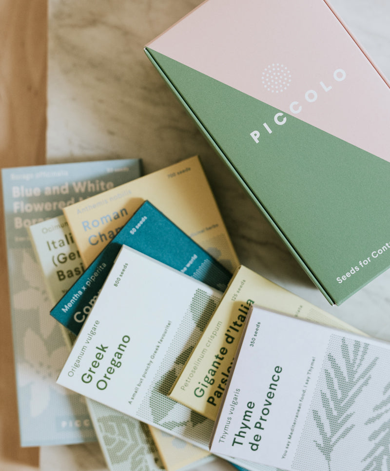 Parsley Gigante d’Italia seeds