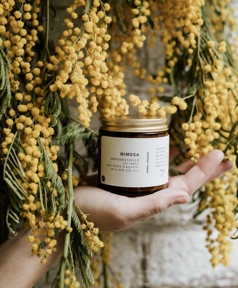 Mimosa Soy Candle