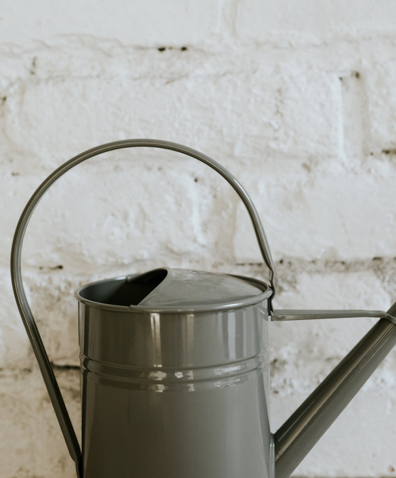 Grey watering can