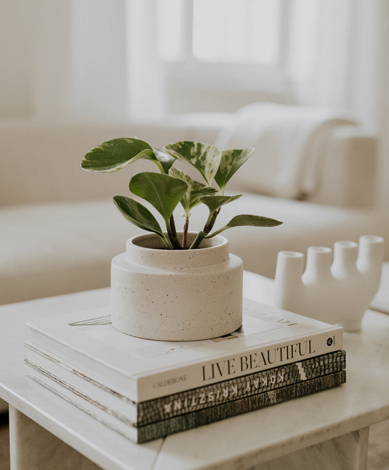 URBAN kaspó, Bone white, maxi