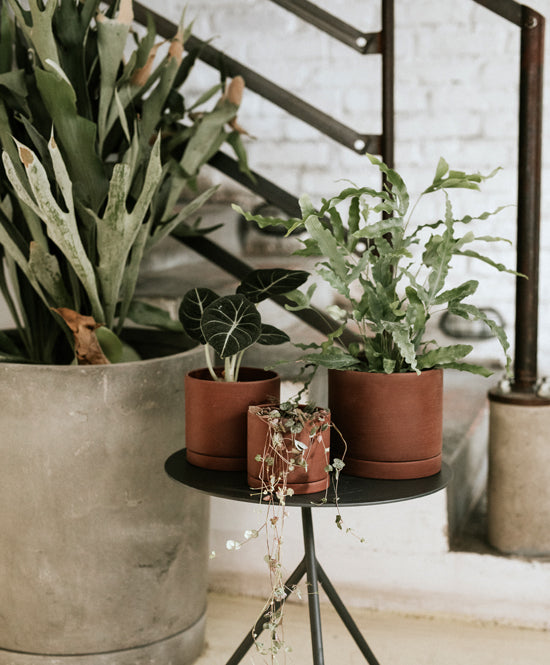 EARTH plant pot set, Deep rust