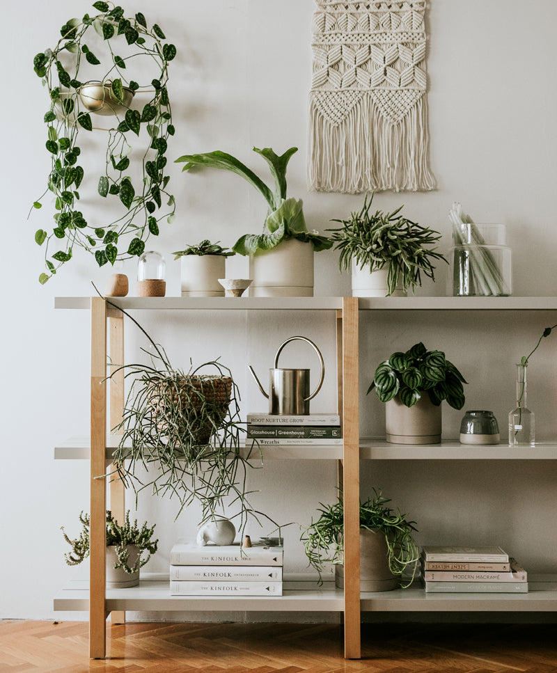 EARTH plant pot, Pure white, medium