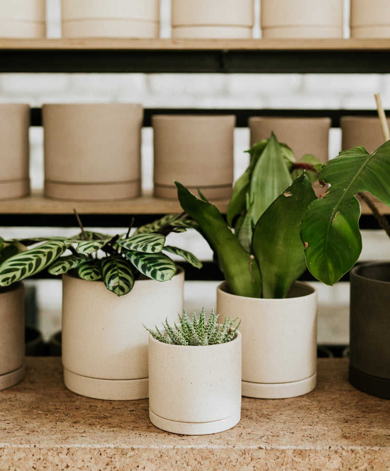 EARTH plant pot, Pure white, mini