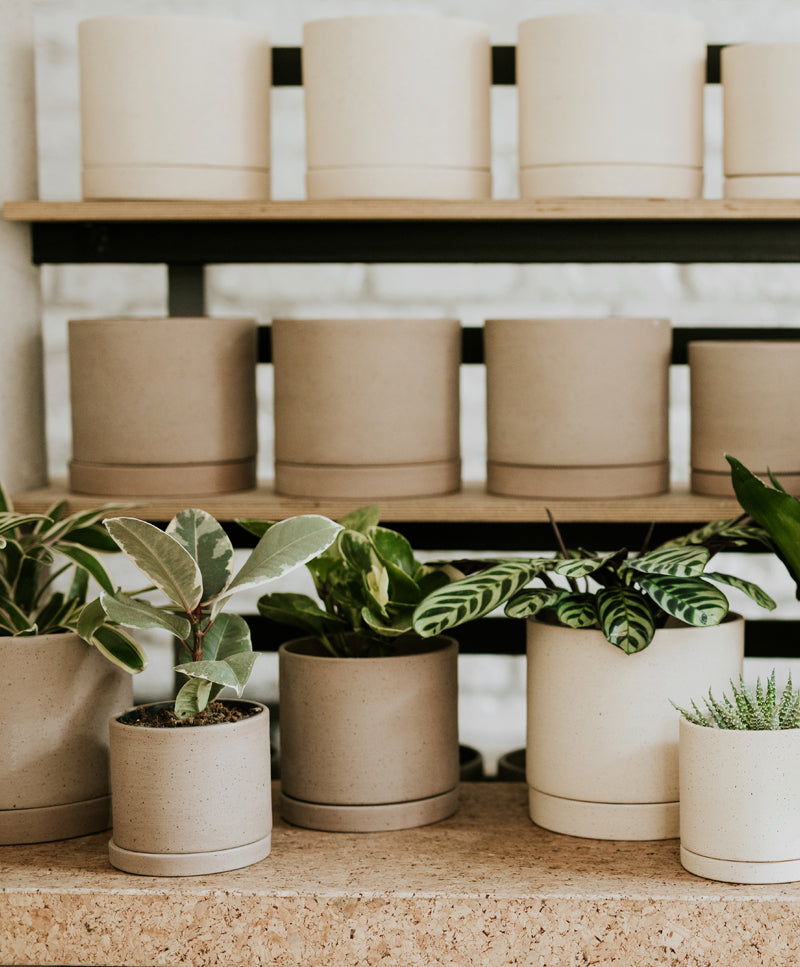 EARTH plant pot, Pale oak, maxi