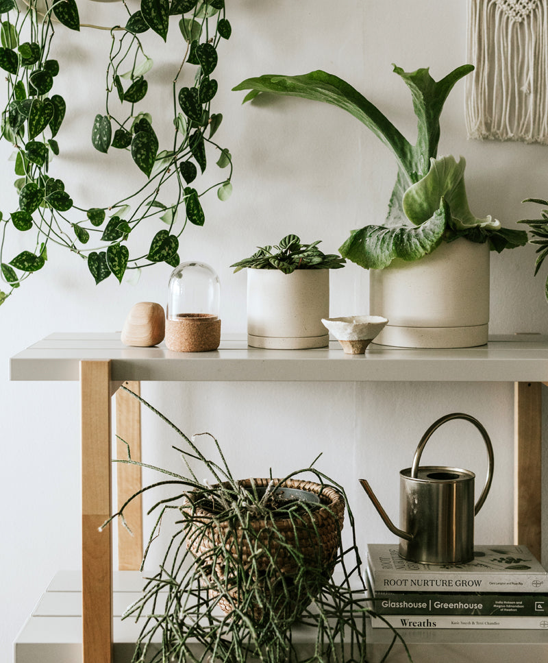 EARTH plant pot set, Pure white