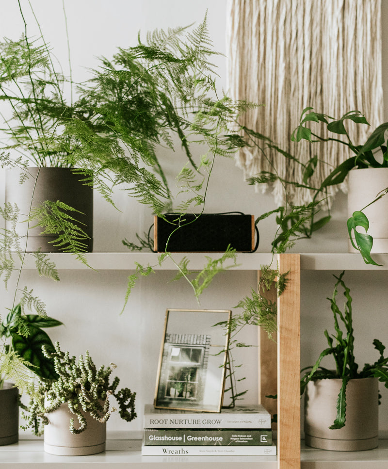 EARTH plant pot, Taupe grey, max