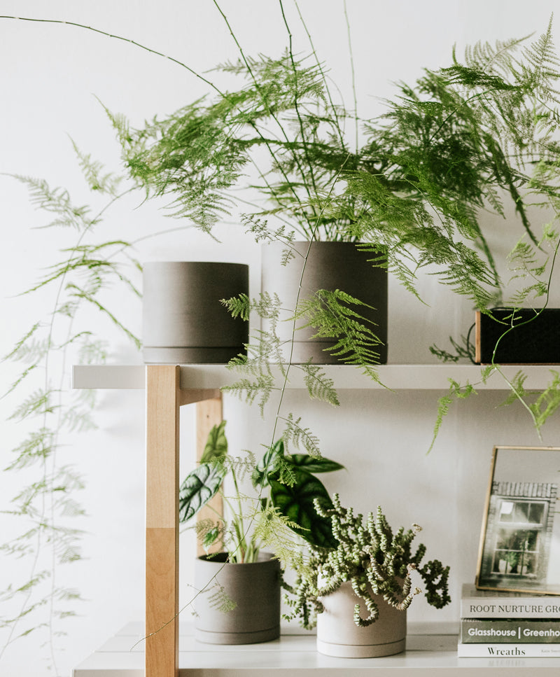 EARTH plant pot set, Taupe grey