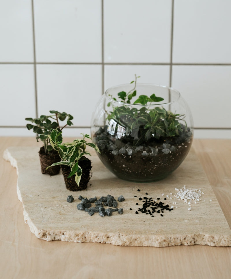 Florarium Workshop / October 13th.