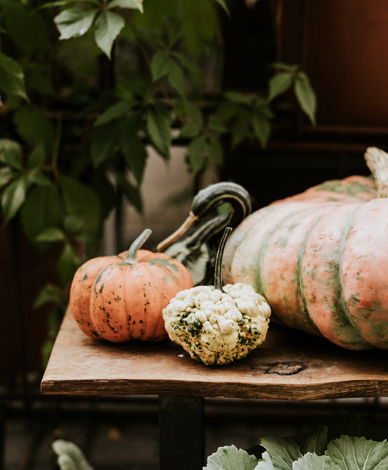 AUTUMN GARDEN