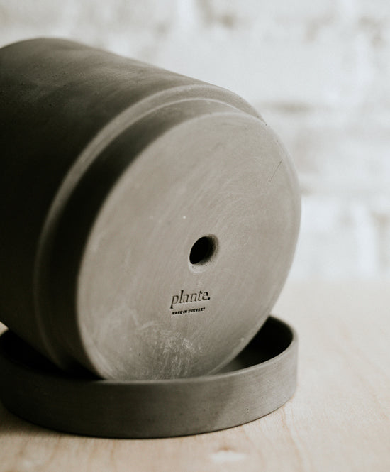 EARTH medium pot, Taupe grey with a plant