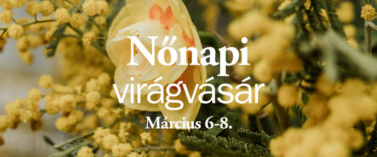 Happy Women’s Day! // Plante. nőnapi virágvásár