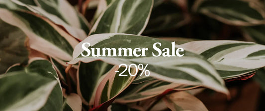 SUMMER SALE -20% a Plante.-nál