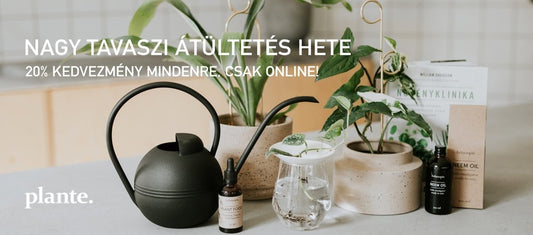 A NAGY TAVASZI ÁTÜLTETÉS HETE  Március 14-20.
