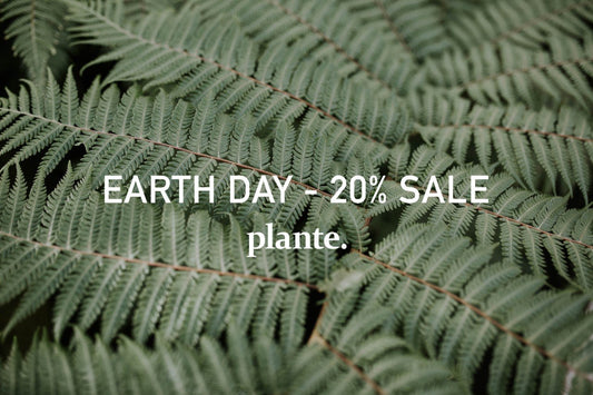 FÖLD NAPJA – 20% SALE