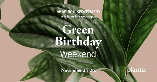 GREEN BIRTHDAY WEEKEND – 20-50% SALE