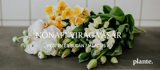 Let’s celebrate women! – Plante. nőnapi virágvásár, Pesten és Budán  2022. március 8. kedd