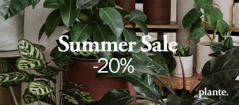 SUMMER SALE -20% a Plante.-nál