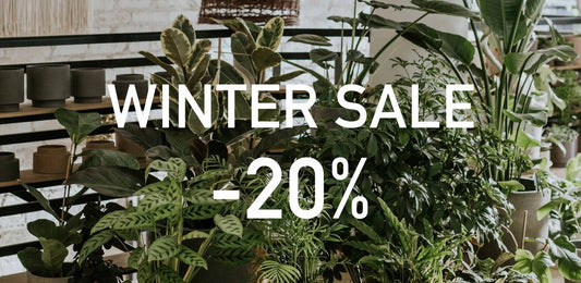 WINTER SALE -20%!