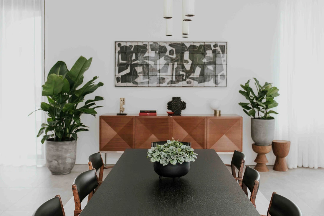 Matisse és egy design-érzékeny üzletasszony Pécsett