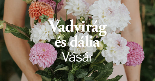 Vadvirág csokorvásár a Plante.-ban