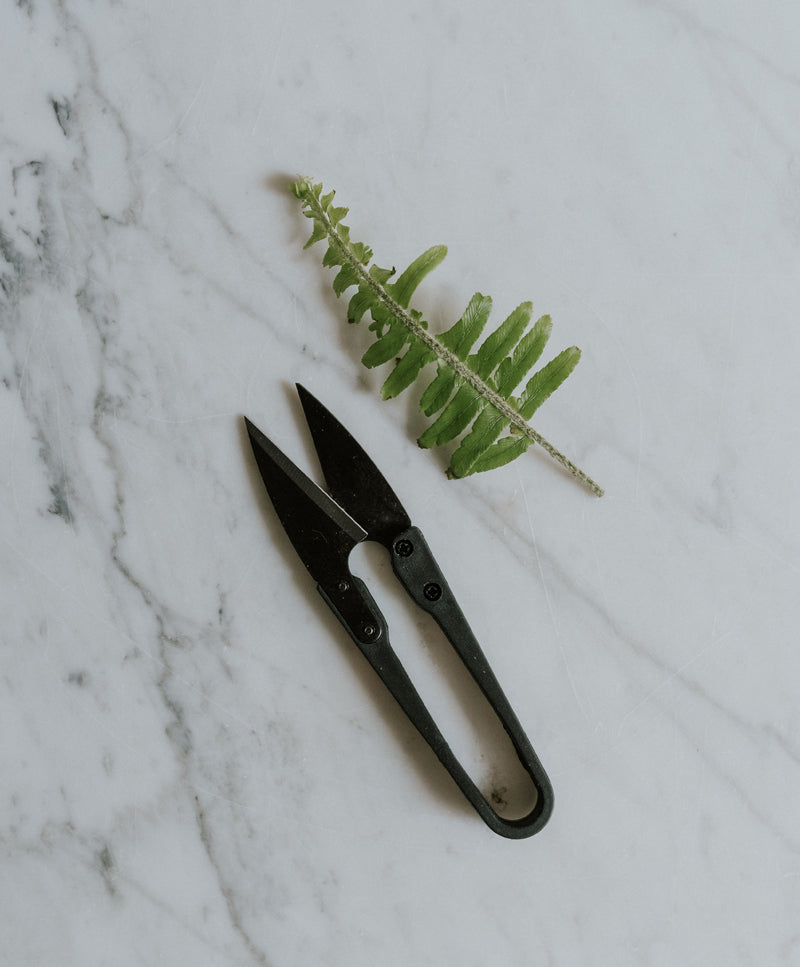Bonsai pruning shears