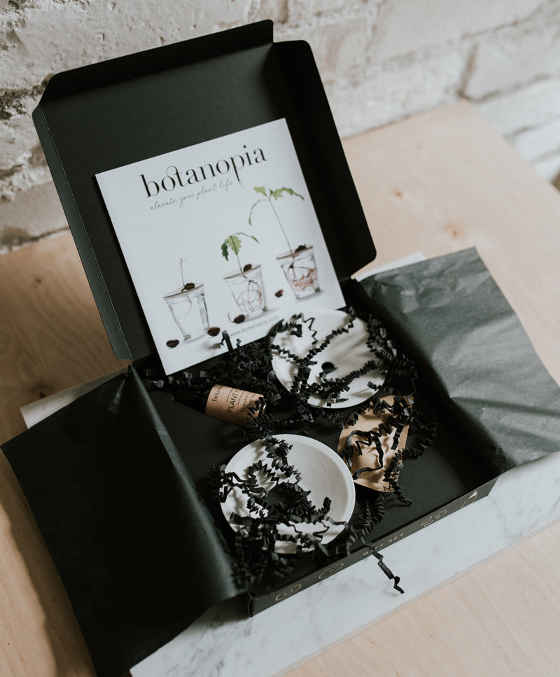 Deluxe gift box, germination and propagation
