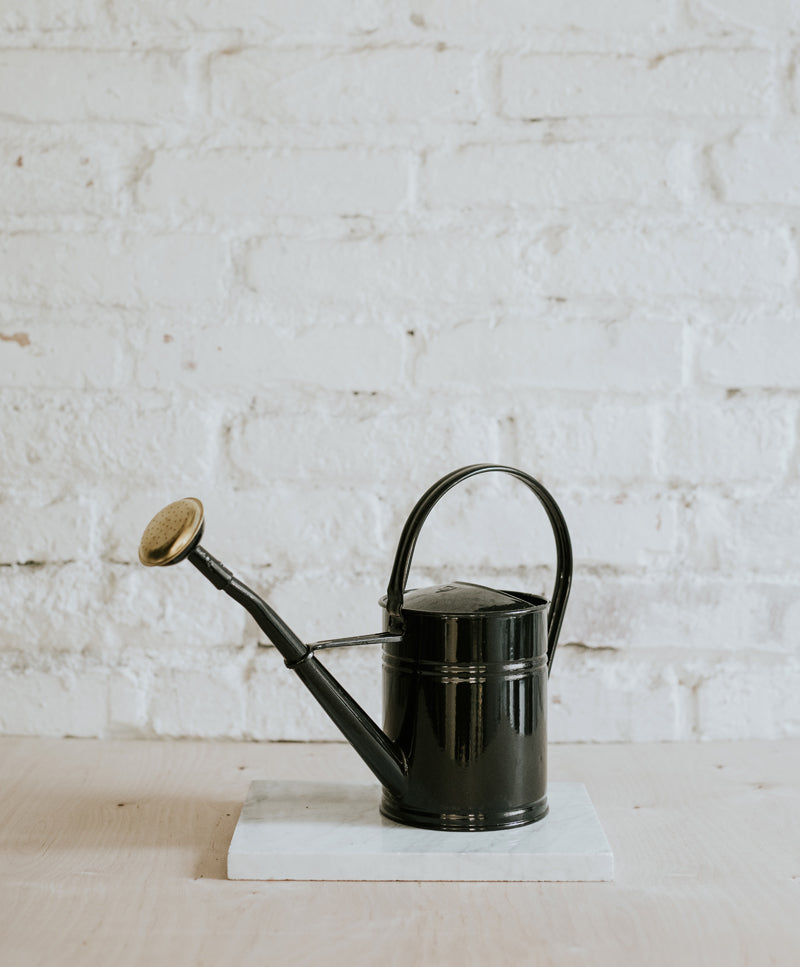 Black watering can