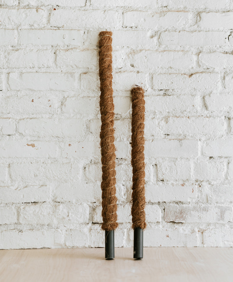 Coconut stick