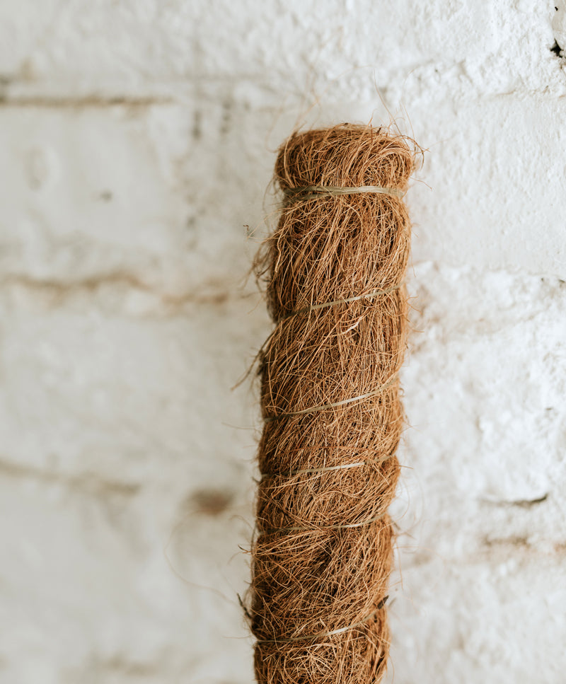 Coconut stick