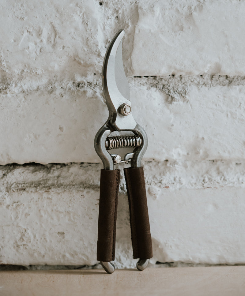 Pruning scissor with leather coated handle