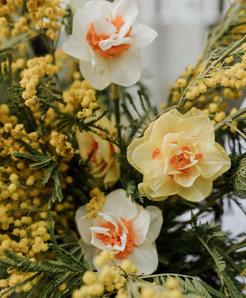 Mimóza csokor nárcisszal