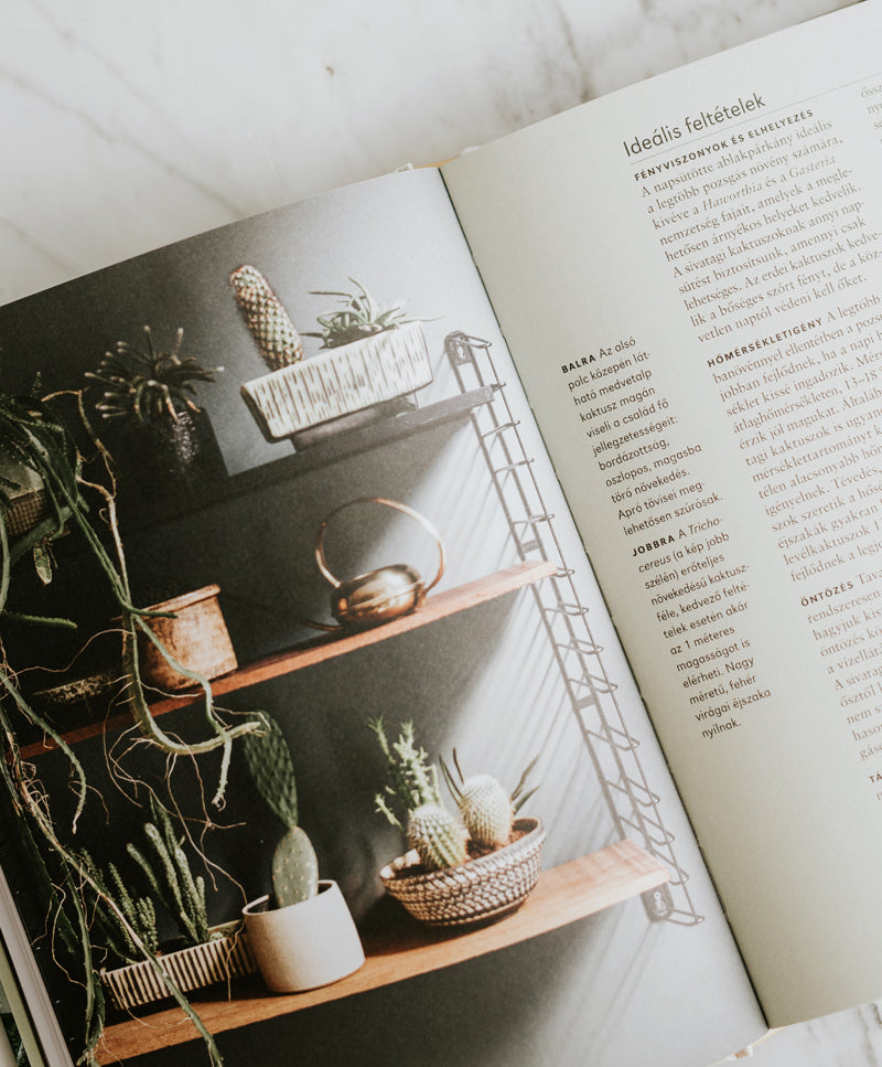 Doctor Houseplant book