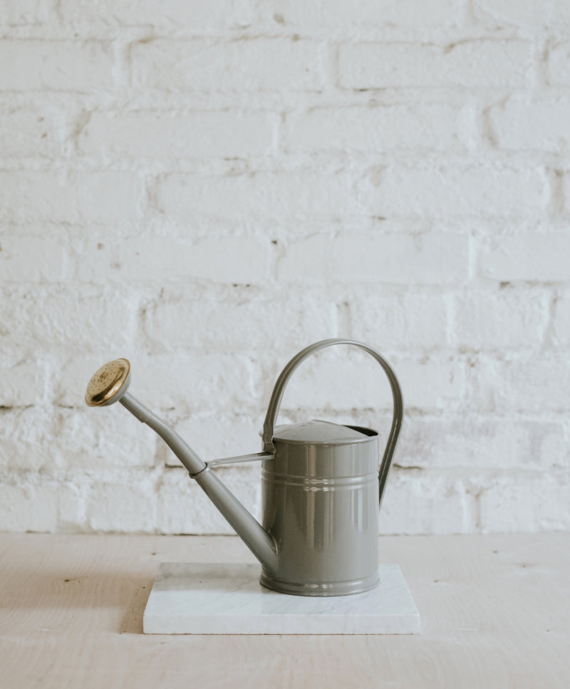 Grey watering can
