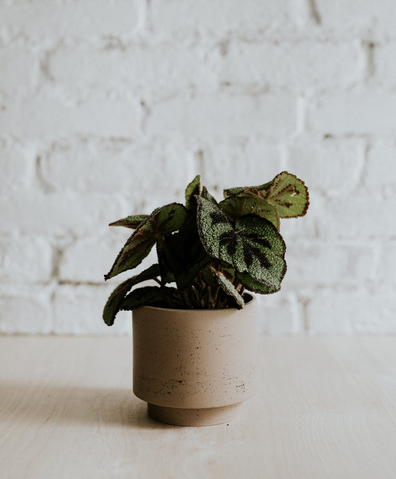 URBAN pot, Soft latte, medium