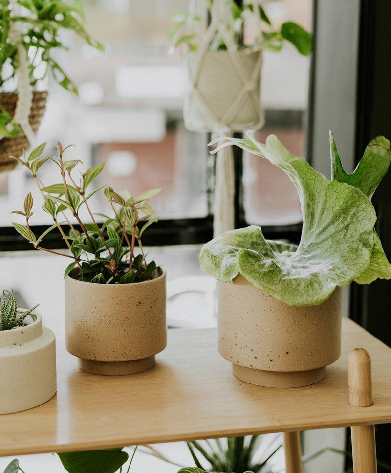 URBAN pot, Faded terracotta, maxi