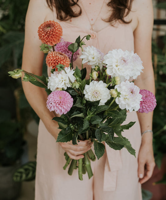 Dahlia bouquet, mixed