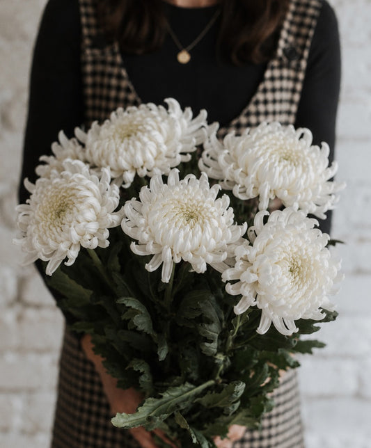 AUTUMN BLOOM