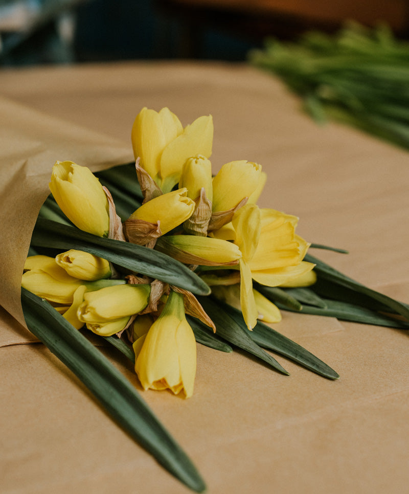 Daffodil Bouquet