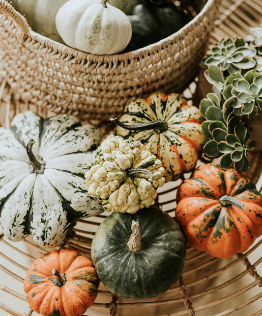 AUTUMN PUMPKINS