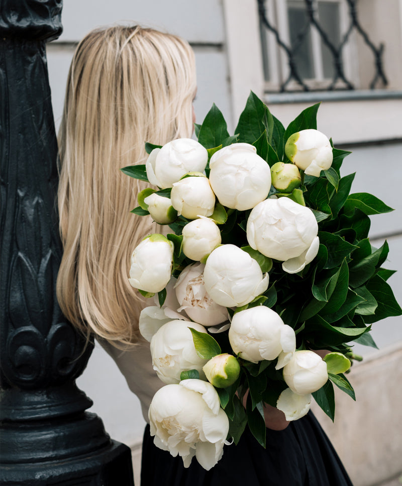 Peony Bouquet, Cream White